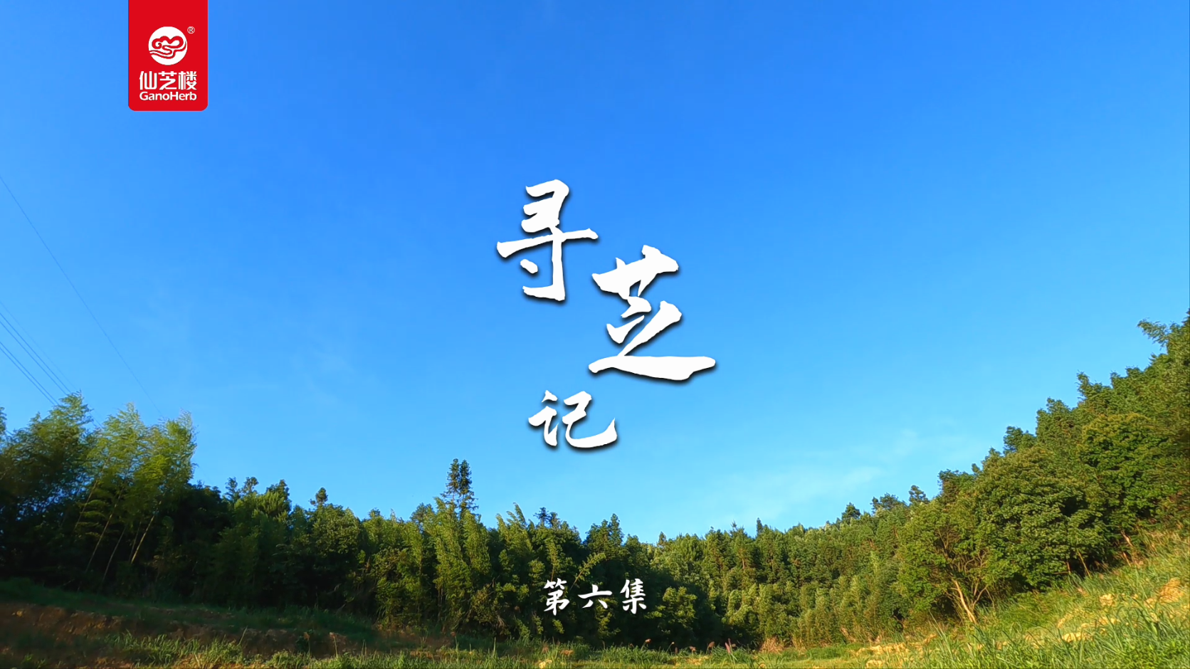 寻芝记-开伞啦